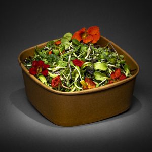 Test 2 Amaranth Pom Pom Dried Edible Flowers